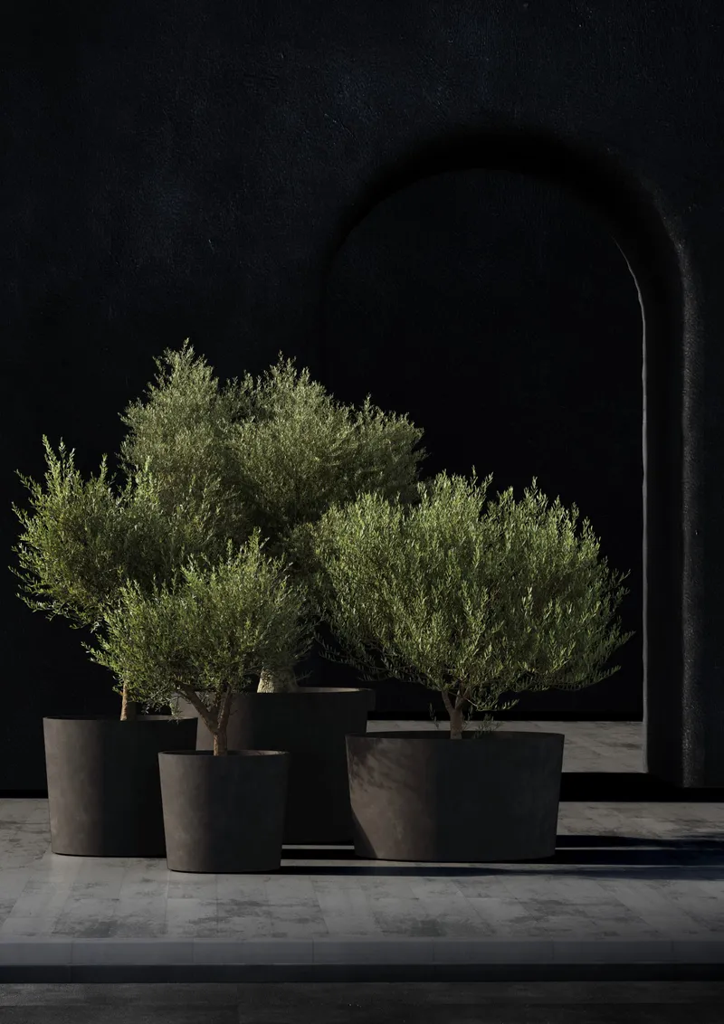 Cosapots rendering